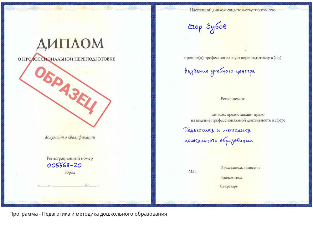 Педагогика и методика дошкольного образования Псков
