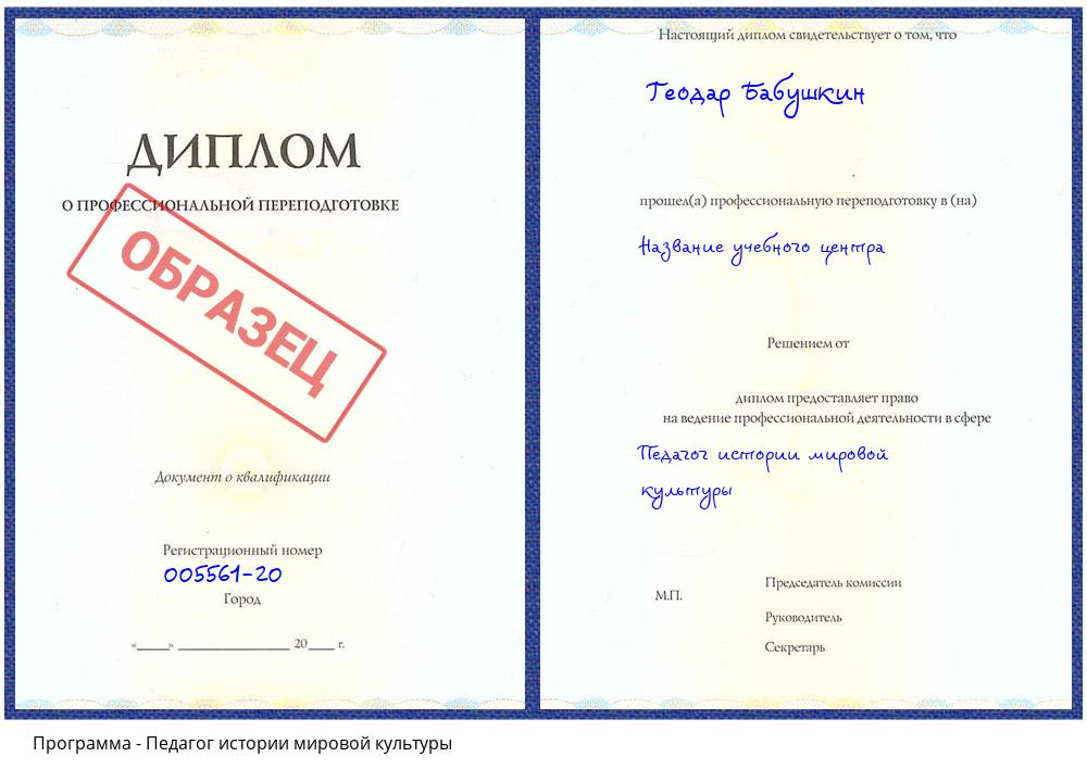 Педагог истории мировой культуры Псков