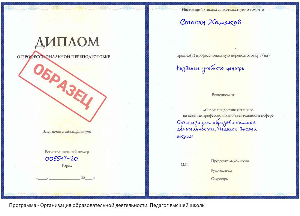 Организация образовательной деятельности. Педагог высшей школы Псков