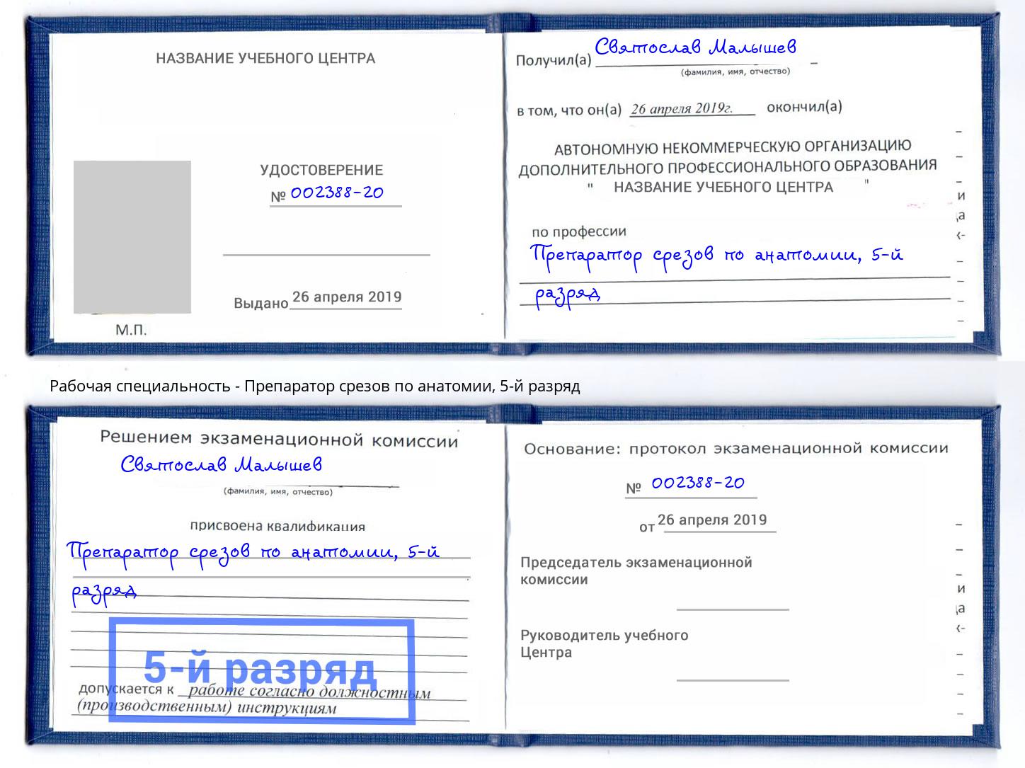 корочка 5-й разряд Препаратор срезов по анатомии Псков