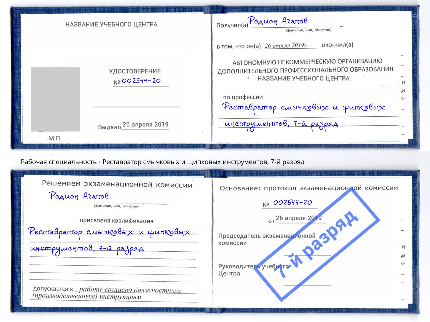 корочка 7-й разряд Реставратор смычковых и щипковых инструментов Псков